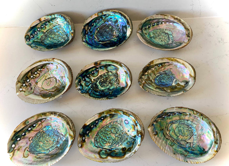 Abalone shell Bowl Smudge Stick Tray