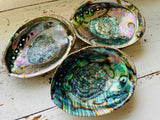 Abalone shell Bowl Smudge Stick Tray